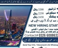 Job in Saudi Arabia - 1